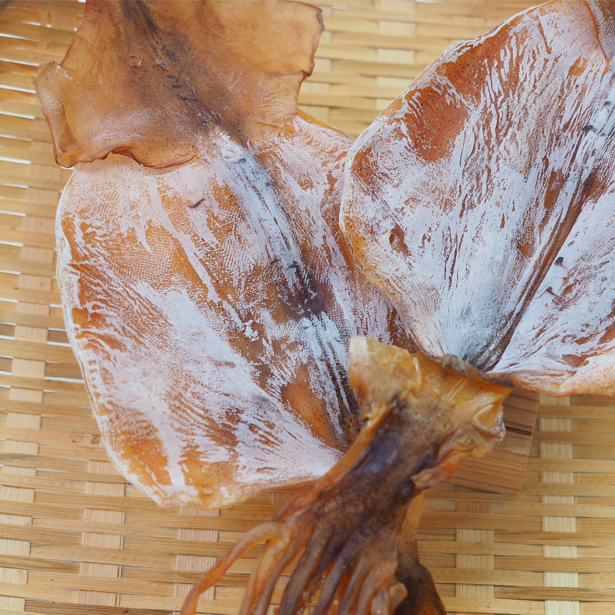 隠岐特産するめ